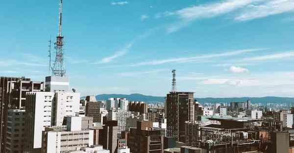 2023苹果爬墙