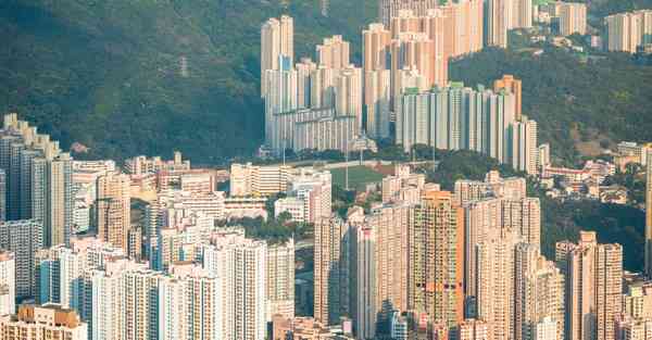 佛跳墙蓝奏云